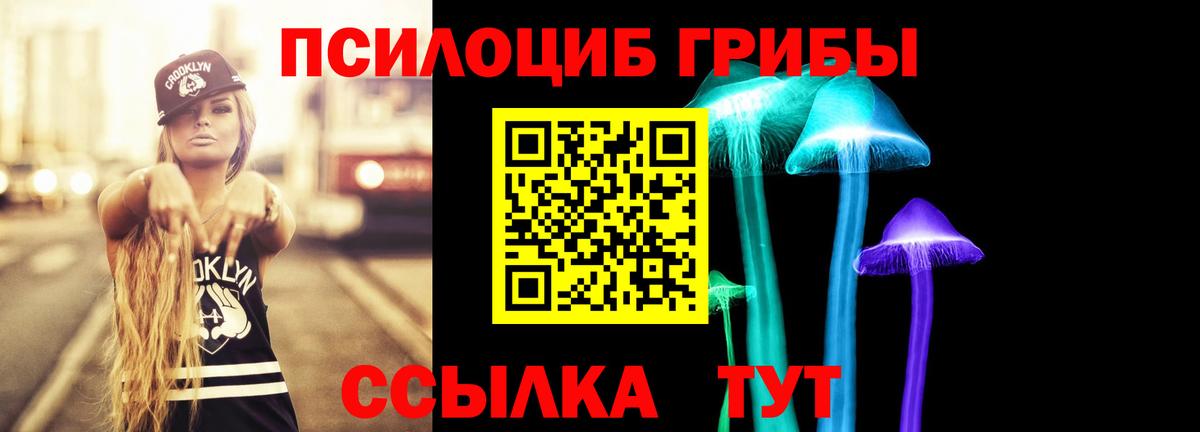 Галлюциногенные грибы MAGIC MUSHROOMS  Вход с VPN  Псилоцибиновые грибы ЛСД  Дербент 
